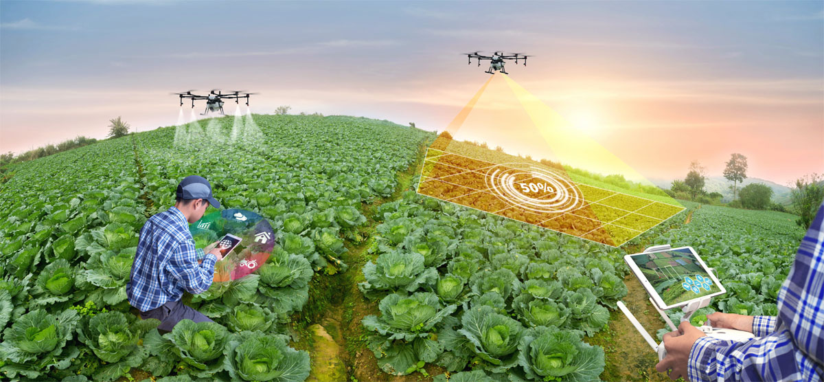 Smart Agricolture with AI Drones